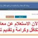 طريقة الاستعلام عن الأسماء الجدد في تكافل وكرامة شهر مايو 2025 - عرب فايف