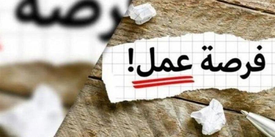 هل تبحث عن فرصة عمل؟.. وظائف سائقين ومحضرين طلبات في عدة محافظات - عرب فايف