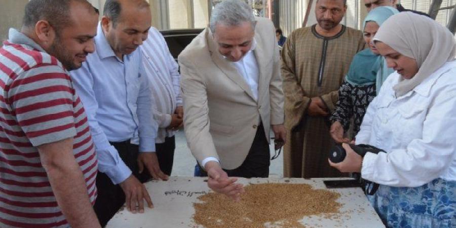 محافظ الغربية يتابع توريد ذهب الحقول بطنطا ويؤكد القمح شريان الأمن القومي - عرب فايف