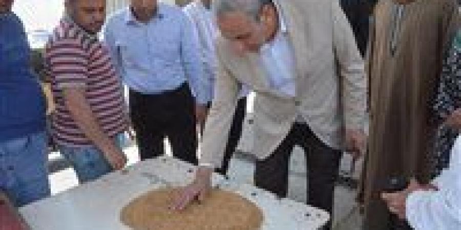 محافظ الغربية يتابع توريد ذهب الحقول بطنطا - عرب فايف