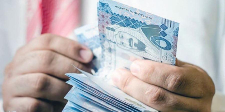 «بلدي للدواجن» توصي بعدم توزيع أرباح عن النصف الثاني من 2024 - عرب فايف