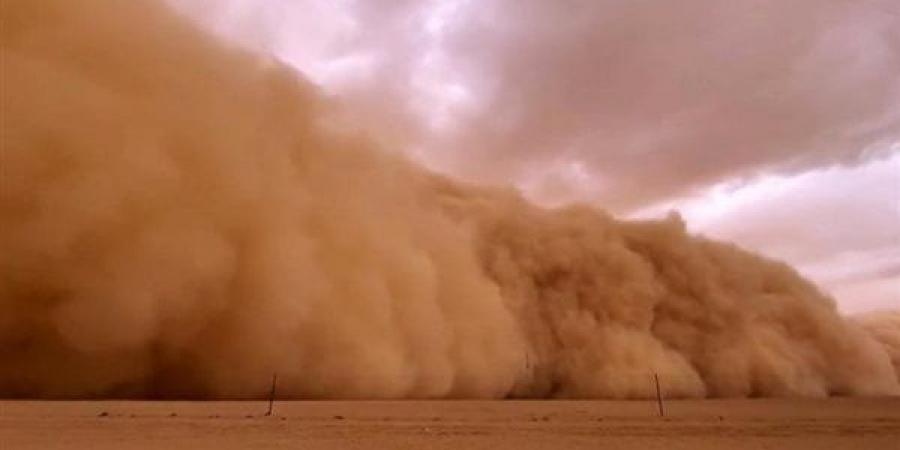الأهلي وبتروجت في مواجهة العاصفة.. هل تُقام المباراة في موعدها؟ - عرب فايف
