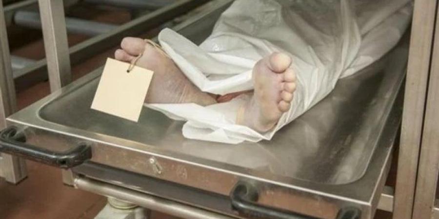 بلاغ تغيب كشف الجريمة.. حبس المتهمين بقتل شخص لسرقته في المطرية - عرب فايف