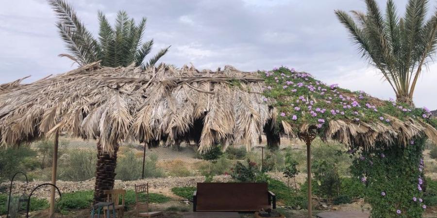 المزارع السياحية بالباحة.. تجربة ساحرة في أحضان الطبيعة - عرب فايف