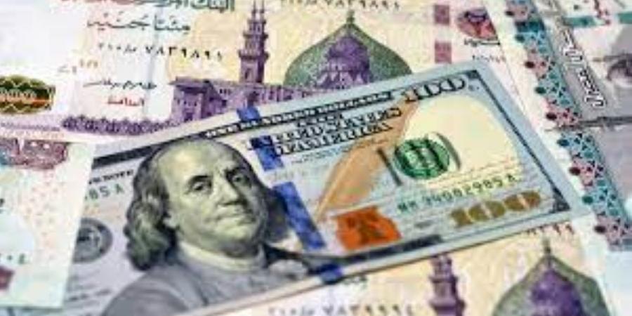 استقرار سعر الدولار اليوم مقابل الجنيه في البنوك المصرية - عرب فايف