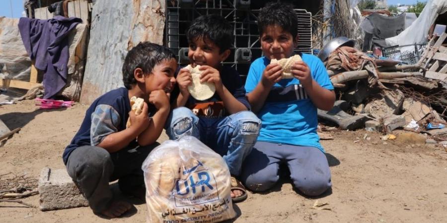 الأمم المتحدة تعلن نفاد الغذاء والماء والوقود في غزة - عرب فايف