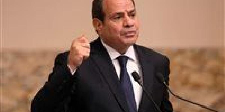 الرئيس السيسي: الحكومة تواصل الجهد لتوفير بيئة عمل متجددة تواكب المتغيرات العالمية - عرب فايف