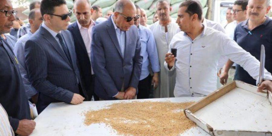 «ذهب المنيا».. المحافظ يتابع حصاد الخير ويؤكد: 120 ألف طن قمح حتى الآن - عرب فايف