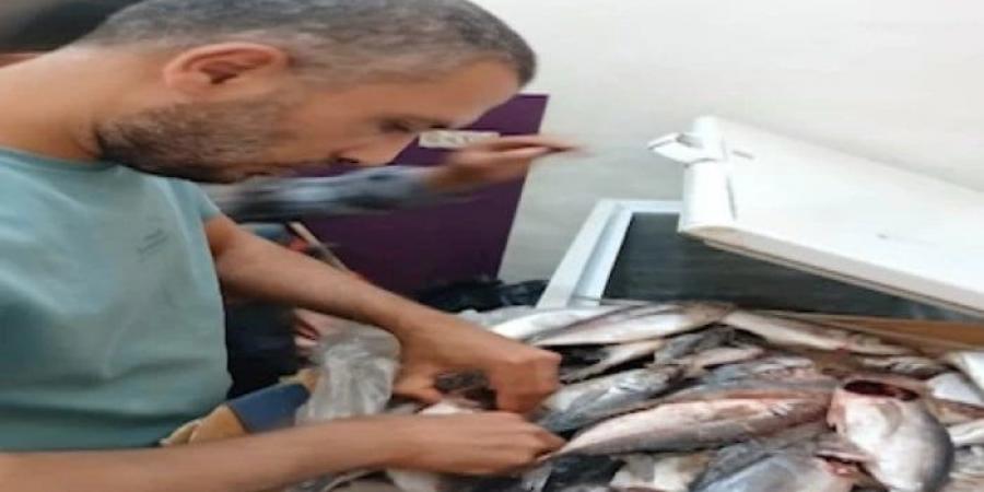 ضبط 14 طن لحوم ودواجن فاسدة في حملات بالمنوفية - عرب فايف