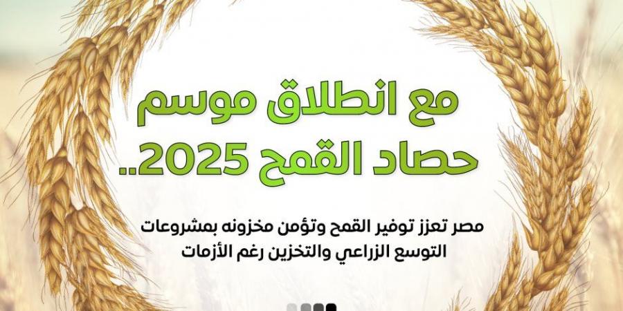 إعلام الوزراء: 3.1 مليون فدان قمح وأصناف جديدة عالية الإنتاجية ودعم غير مسبوق للمزارعين في موسم توريد 2025 - عرب فايف