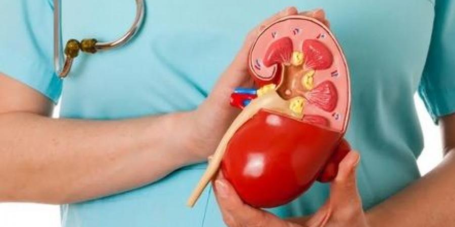 حصوات الكلى تهددك في الصيف... تجنّبها بهذه النصائح - عرب فايف