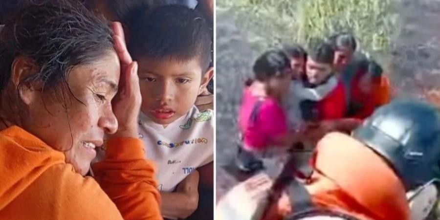 36 ساعة بين الثعابين والتماسيح.. قصة نجاة مذهلة لركاب طائرة محطمة - عرب فايف