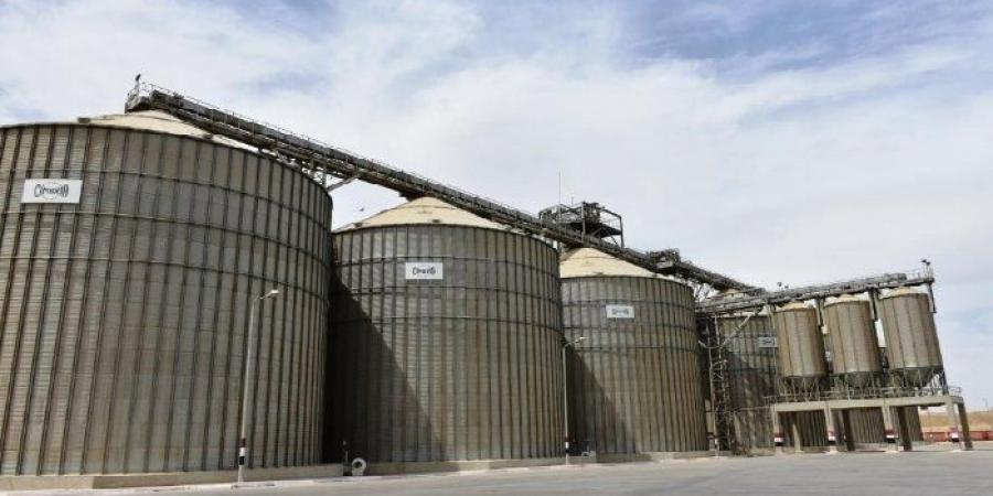 تموين أسوان: توريد 104 آلاف طن قمح خلال موسم الحصاد - عرب فايف