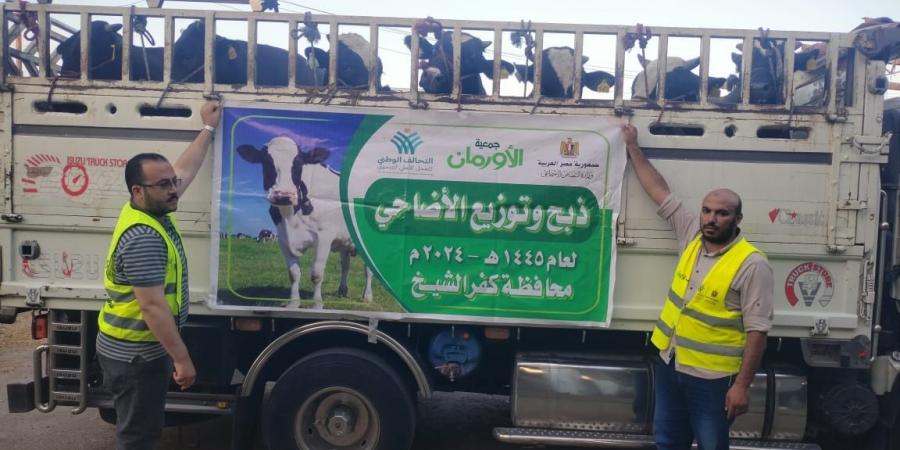 50 ألف كيلو لحوم أضاحى و75 عجلا بلديا للاولى بالرعاية بكفر الشيخ - عرب فايف