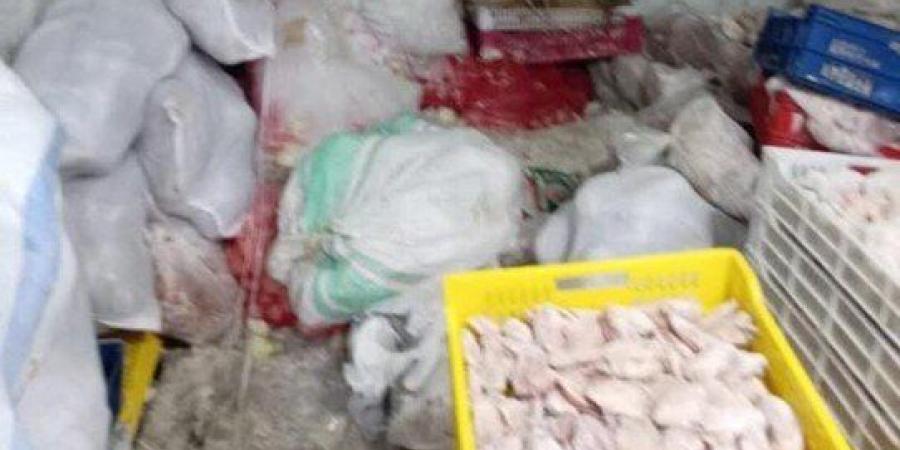 كارثة غذائية بالقليوبية.. ضبط 12 طن دواجن فاسدة تُعاد تدويرها وبيعها للمواطنين - عرب فايف