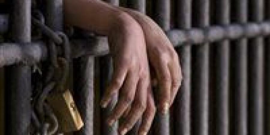 الداخلية تضبط مرتكبي واقعة خطف هاتف أجنبي بشبرا الخيمة - عرب فايف
