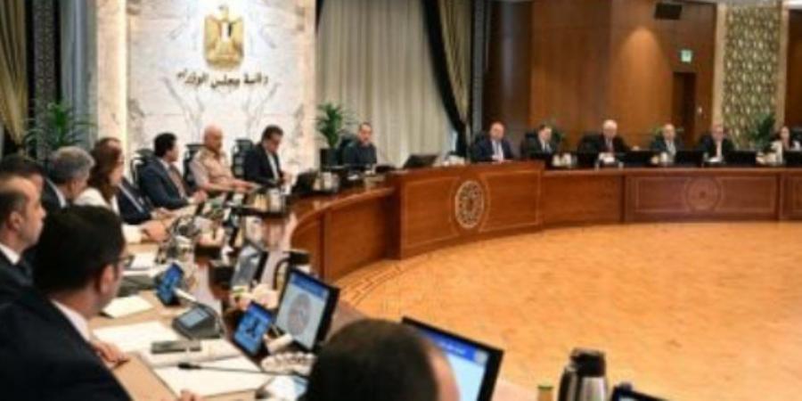 الحكومة توافق على لائحة صندوق تحسين الخدمة بمستشفيات ومراكز الصحة النفسية - عرب فايف