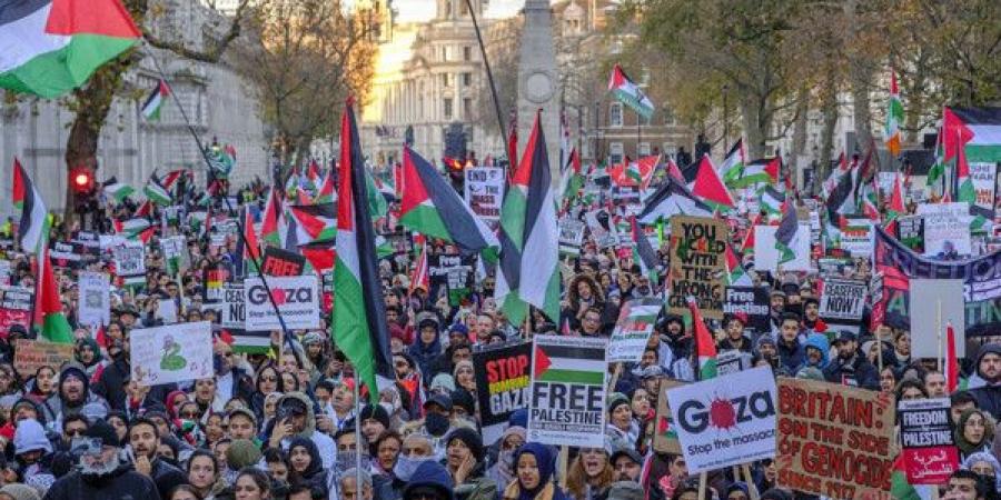 الغارديان: أعضاء في مجلسَي العموم واللوردات عن حزب المحافظين البريطاني يطالبون بالاعتراف بفلسطين - عرب فايف
