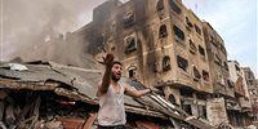 استاذ علوم سياسية: القضية الفلسطينية تم اختطافها لمصالح بعض الدول - عرب فايف