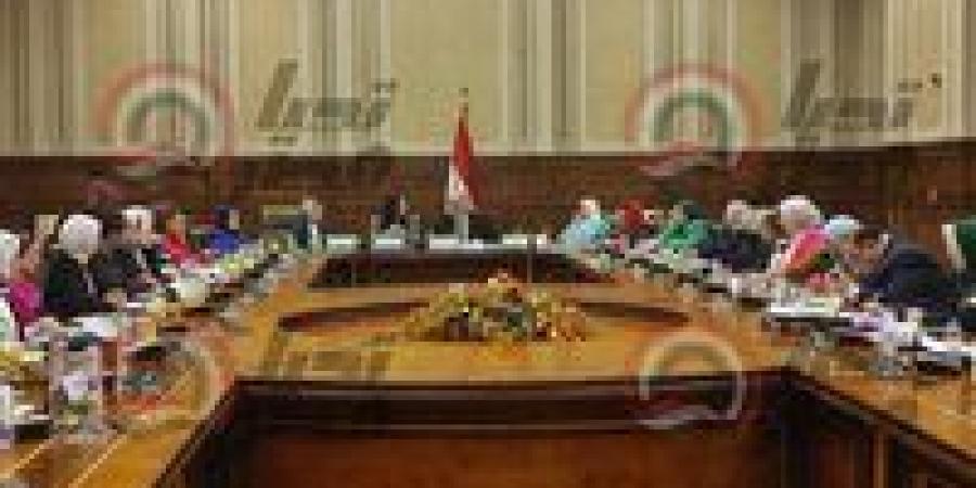 تضامن النواب توافق على موازنة المجلس القومي لذوي الإعاقة للعام المالي 2025/2026 - عرب فايف