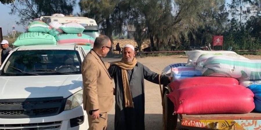 توريد 112 ألف طن قمح محلي بمراكز التوريد والتخزين بالدقهلية - عرب فايف