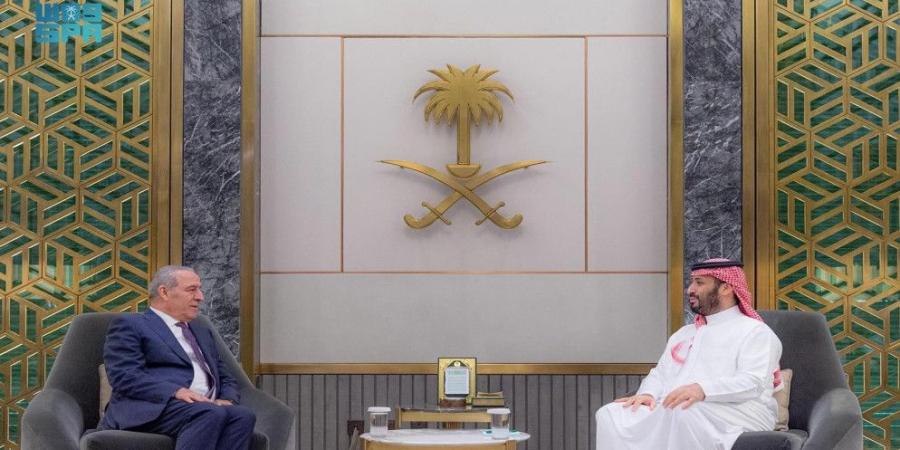 بن سلمان والشيخ يبحثان تعزيز العمل المشترك لدعم القضية الفلسطينية - عرب فايف