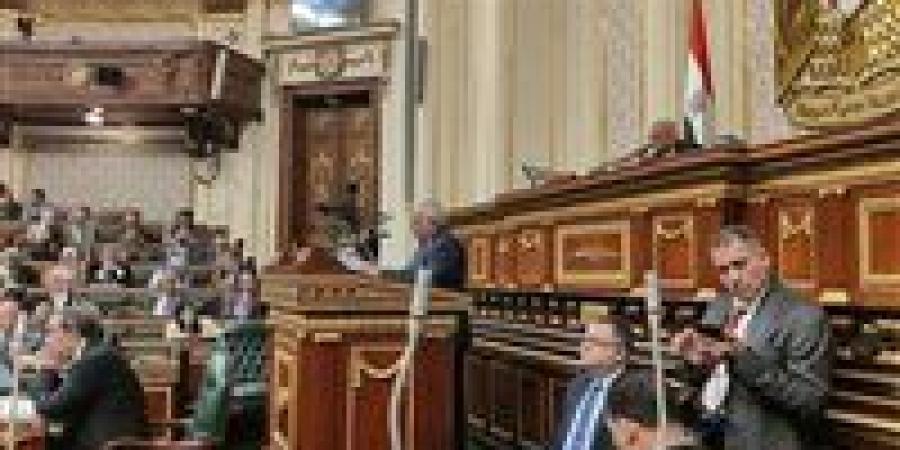 سنة تدريبية إجباري.. البرلمان يدرس تعديل قانون مزاولة مهنة الصيدلة - عرب فايف