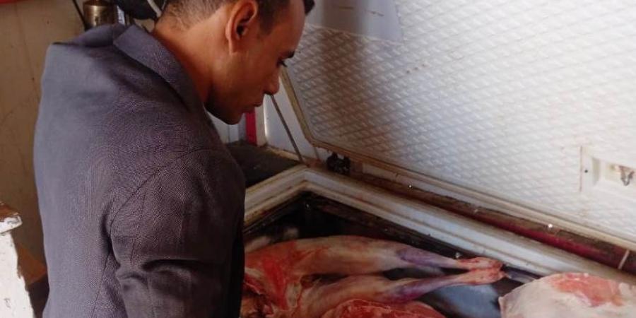 الطب البيطرى يضبط 200 كجم من اللحوم الغير صالحة للإستهلاك الآدمى - عرب فايف