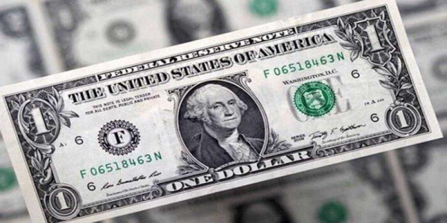الأخضر بكام النهاردة؟.. أسعار الدولار في مصر اليوم الأحد 11-5-2025 - عرب فايف