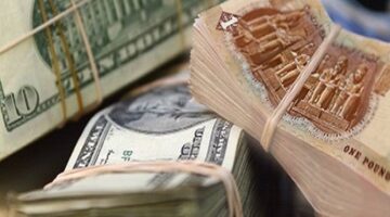 استقرار قوي.. سعر الدولار في مصر اليوم السبت 11 يناير 2025 في مختلف البنوك المصرية