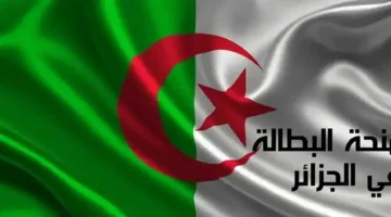 من منزلك عبر وسيط.. تجديد منحة البطالة 2025 للاستفادة من المنحة كل شهر