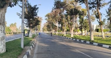 اليوم في القاهرة: ارتفاع درجات الحرارة إلى 38 درجة