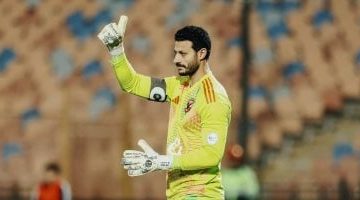 محمد الشناوى يمدد عقده مع الأهلى حتى 2027 وفقاً لترانسفير ماركت