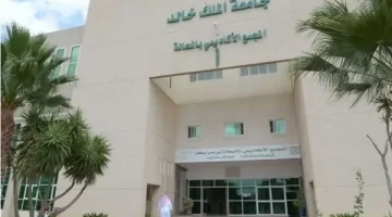 أحدث فرص العمل الجامعية: مستجدات اليوم