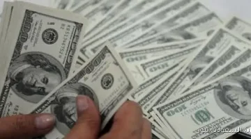 تحديثات أسعار صرف الدولار مقابل الجنيه المصري ليوم 31 أغسطس 2025