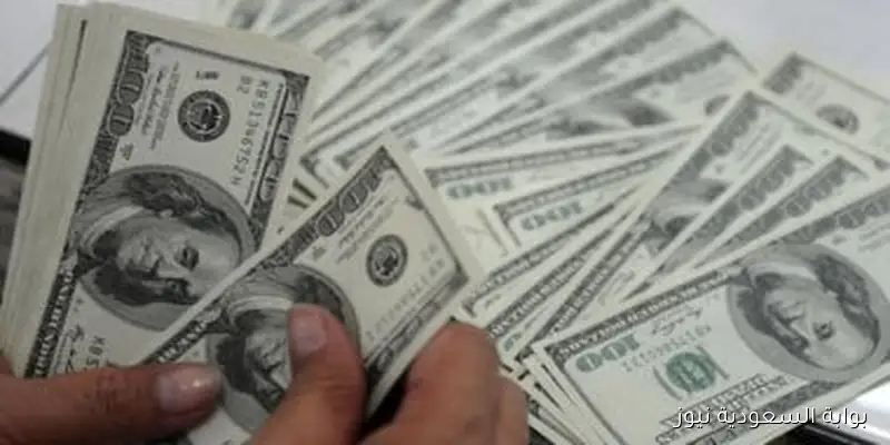 تحديثات أسعار صرف الدولار مقابل الجنيه المصري ليوم 31 أغسطس 2025