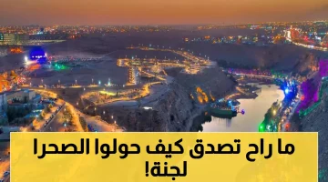 الروابط المصرية السعودية: مثال يحتذى للاستقرار العربي