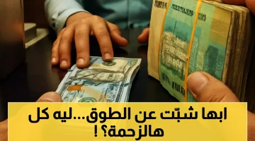 2025 08 27 1756247693807.webp
