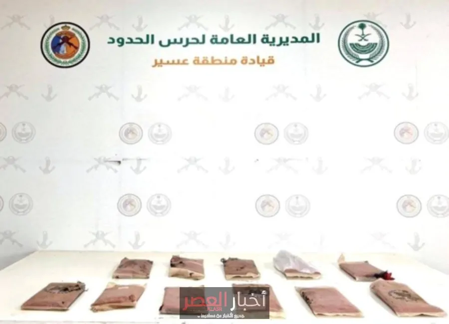 القبض على مهربي 12 كيلوجرامًا من الحشيش في عسير
