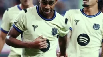3394637