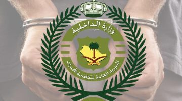 القبض على اثنين في القنفذة: استمرار الحرب ضد المخدرات