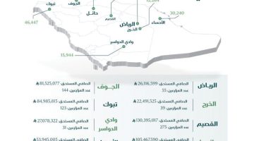 استثمار 532 مليون ريال لتعزيز إنتاجية مزارعي القمح المحلي