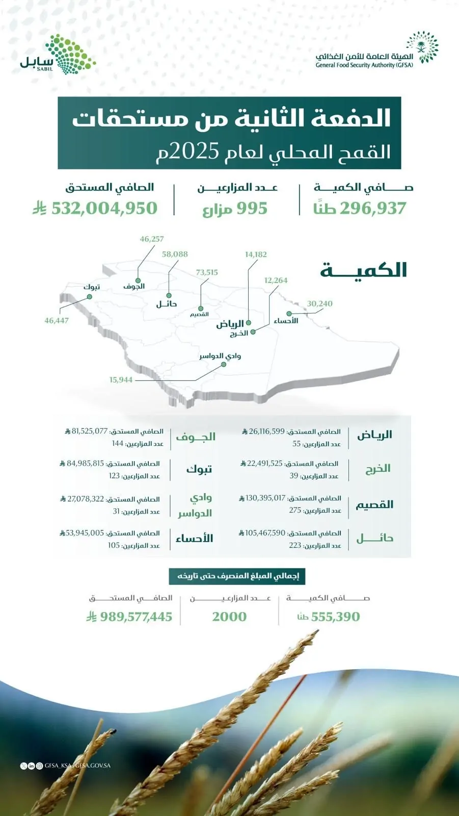 دعم جديد: 532 مليون ريال لمزارعي القمح المحلي لتعزيز الأمن الغذائي