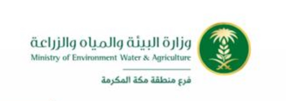 فرص استثمارية واعدة لنمو منطقة مكة المكرمة: 10 توجهات مستقبلية