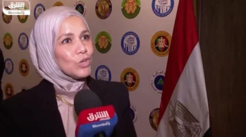 مصر: ارتفاع إيرادات الضرائب بنسبة 20% في بداية العام المالي الجديد