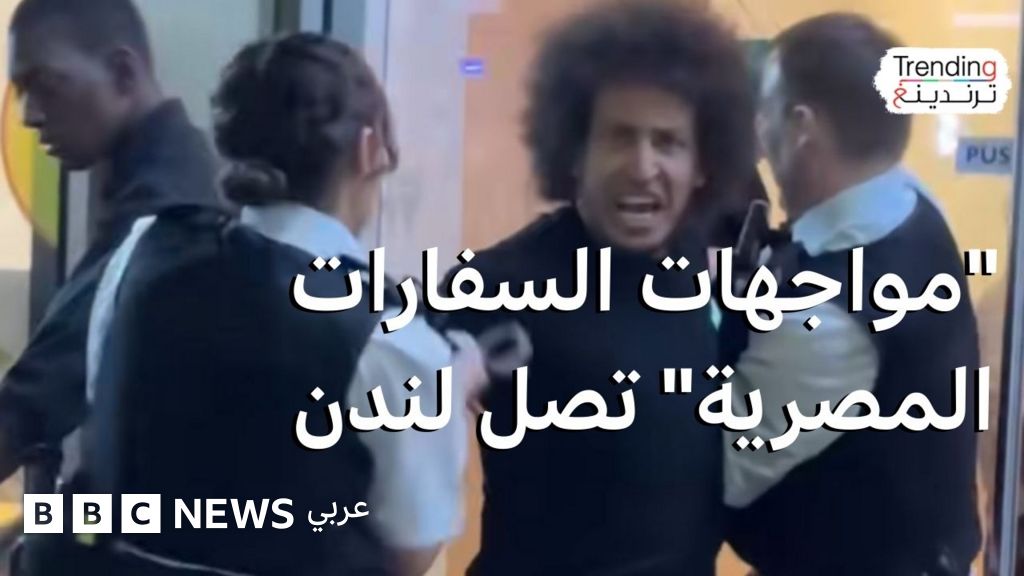 احتجاجات أمام السفارة المصرية في لندن: أنس حبيب يتصدى للاحتجاج واعتقال مساندين له