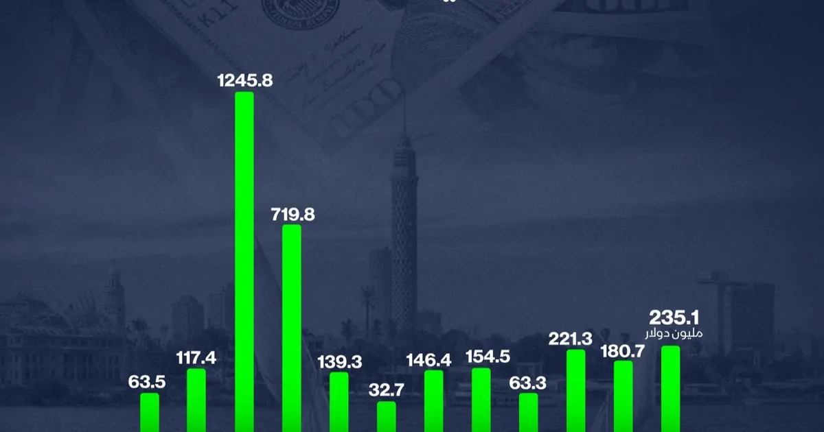 استثمارات السعودية في مصر: الأرقام والتفاصيل المتميزة