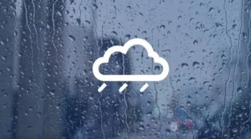 rainkmeat