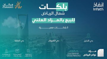مزاد استثنائي لبلكات نادرة في شمال الرياض