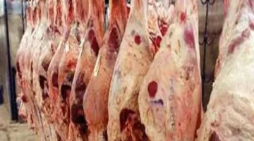 ارتفاع غير متوقع: كيلو العلوش يصل إلى 38 دينار!